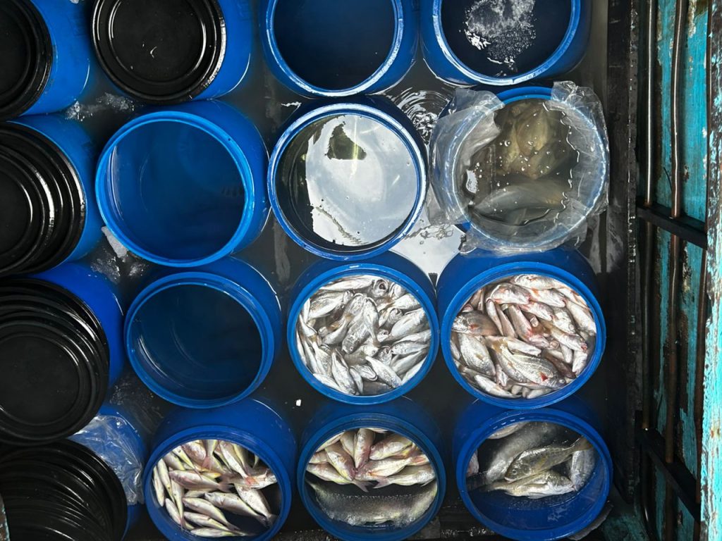 Maritim Perak rampas vesel pukat tunda, hasil laut lebih RM3 juta