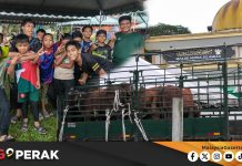 MGPerak: Persiapan Ibadah Korban Erat Silaturahim Tarik Minat Kanak-Kanak