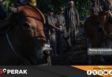 MGPerak: Ibadah Korban Masjid Idris Iskandar Shah 1, Libat Generasi Muda Tarik Minat