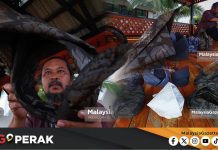 MGPerak: Tanjak Bukan Sekadar Perhiasan, Warisan Melayu Yang Sarat Makna