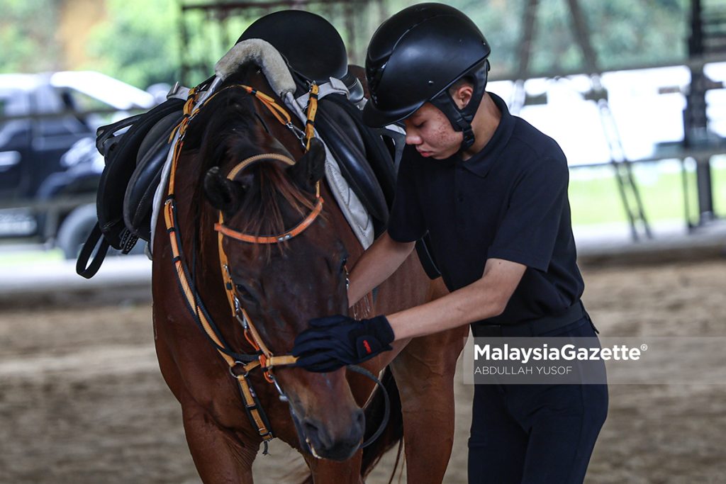 Autisme bukan kekurangan, Rayqal bukti potensi diri dalam sukan berkuda