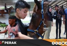 MGPerak: Autisme Bukan Halangan Rayqal Bukti Potensi Dalam Sukan Berkuda