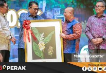 MGPerak: Spesies Halia Baharu ‘Alpinia Lenggongensis’ Ditemui Di Lenggong