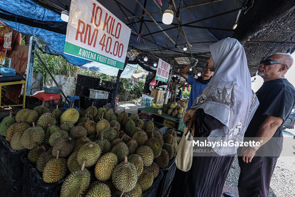 Isu lambakan durian: Duri Hitam, Musang King dijual pada 'harga marhaen'