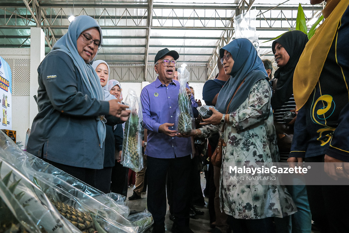 lambakan durian Keyphrase Synonyms: lebihan bekalan durian, pengeluaran durian serentak, masalah lambakan durian, pasaran durian tempatan, bekalan durian berlebihan Related Keyphrases: pengusaha durian hasilkan produk nilai tambah tempoyak bantu tangani lambakan durian FAMA bantu pekebun durian pasarkan hasil pusat pemprosesan durian di Perak harga durian kampung di Malaysia