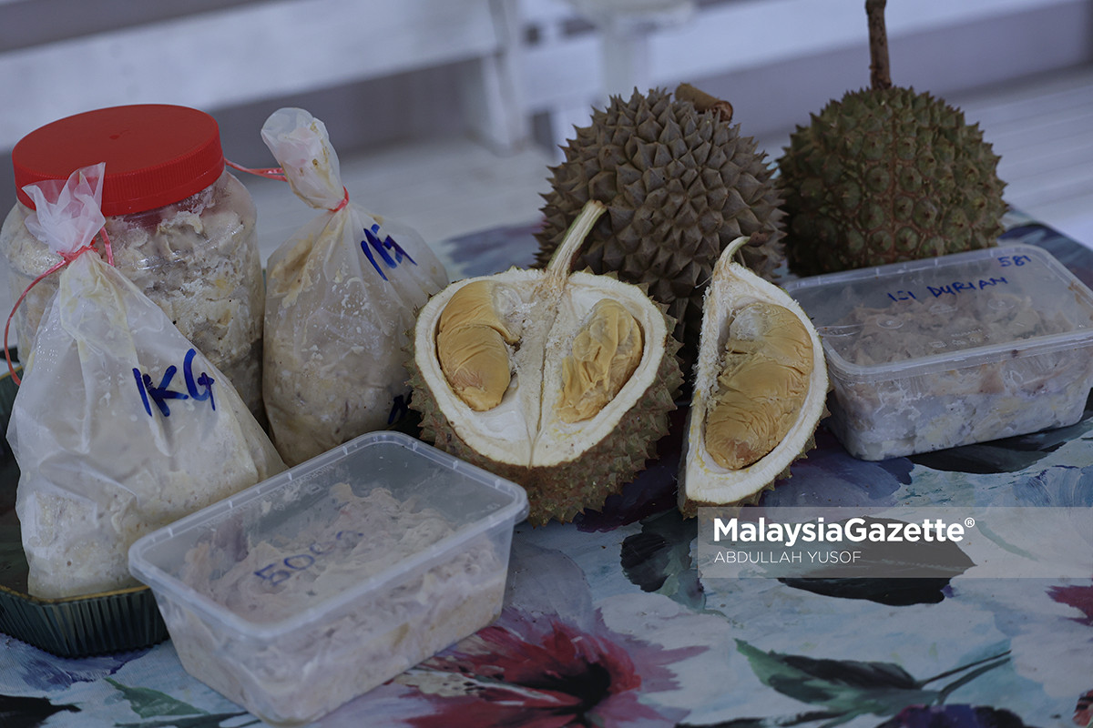Jualan tempoyak untung RM7,000 semusim Keyphrase Synonyms Keuntungan tempoyak semusim, pengusaha tempoyak raih pendapatan lumayan, perniagaan tempoyak menguntungkan, tempoyak bantu kurangkan lambakan durian, produk hiliran durian Related Keyphrase Lambakan durian di Malaysia Pengusaha tempoyak di Perak Produk hiliran berasaskan durian Pes durian dan tempoyak Perniagaan tempoyak menguntungkan