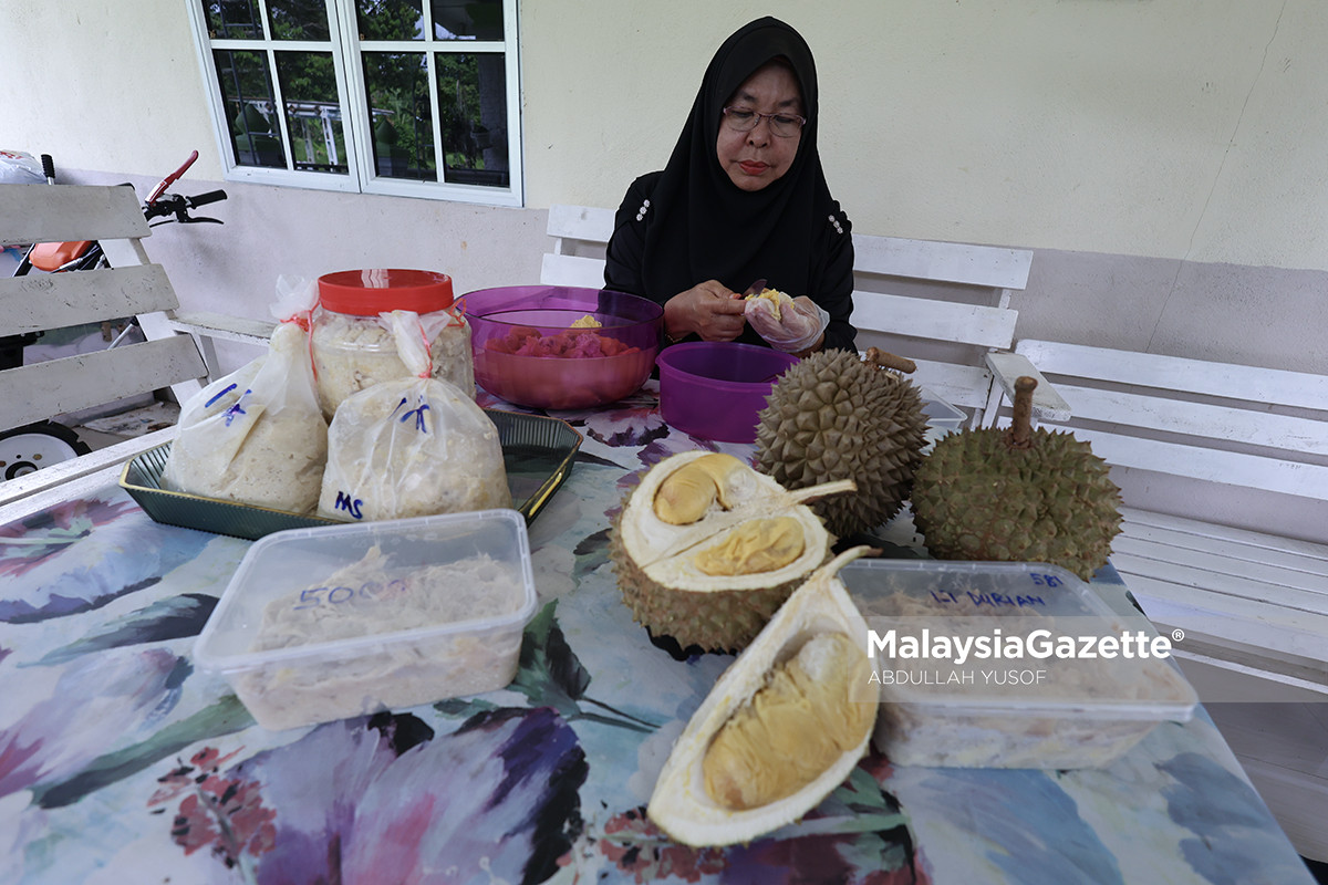 Jualan tempoyak untung RM7,000 semusim Keyphrase Synonyms Keuntungan tempoyak semusim, pengusaha tempoyak raih pendapatan lumayan, perniagaan tempoyak menguntungkan, tempoyak bantu kurangkan lambakan durian, produk hiliran durian Related Keyphrase Lambakan durian di Malaysia Pengusaha tempoyak di Perak Produk hiliran berasaskan durian Pes durian dan tempoyak Perniagaan tempoyak menguntungkan