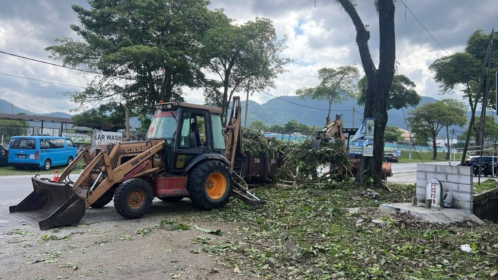 MBI selenggara 2,503 pokok teduhan dengan kos RM1.4 juta