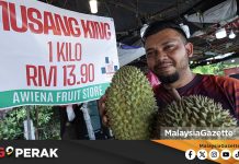 MGPerak: Pokok Lama, Baharu Berbuah Serentak Dipercayai Punca Lambakan Raja Buah, Harga Murah.