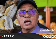 MGPerak: Pengusaha Durian Disaran Pelbagaikan Produk Untuk Tangani Lambakan