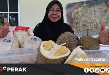 MGPerak: Jualan Tempoyak Raih Untung Hingga RM7,000 Semusim