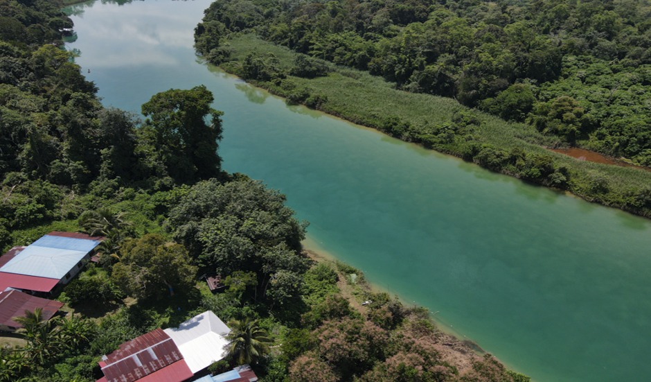 Kematian ikan di Sungai Perak berkemungkinan akibat TSS tinggi