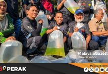 MGPerak: Cadangan Tagal Ikan Di Kampar Bakal Tarik Pelancong, Perkasa Konservasi