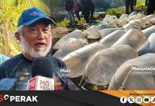 MGPerak: Rancang Wujud Pusat Konservasi Ikan Loma Di Temenggor