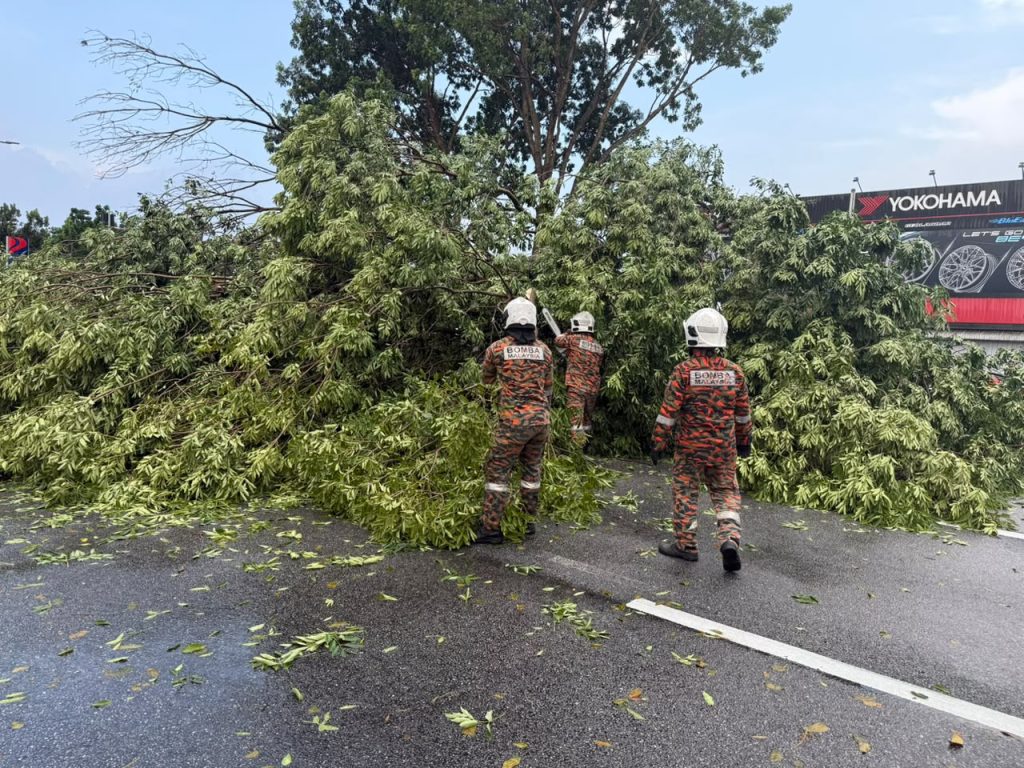 Enam individu selamat kenderaan dihempap pokok tumbang