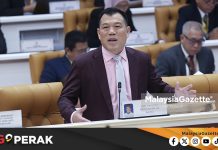 MGPerak: Pembangunan Infrastruktur ‘Birdwatching‘ Perlu Bersasar, Elak Ganggu Habitat