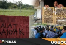 MGPerak: Lalat Hurung Muka, Masuk Makanan, Penduduk Terpaksa Tidur Berkelambu