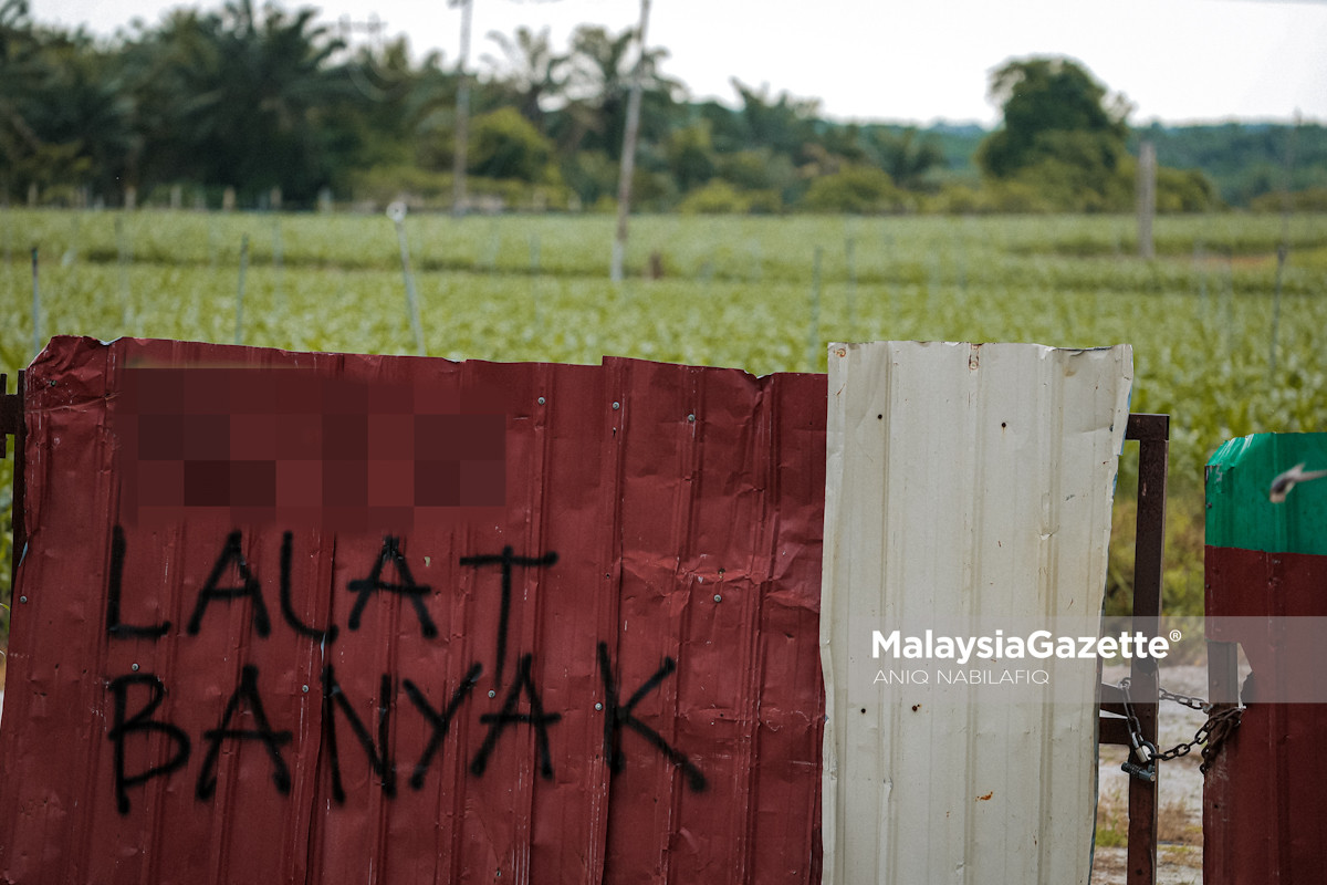 gangguan lalat di Kampar masalah lalat di Kampar, gangguan lalat di Changkat Tualang, lalat di Redang Sawa, masalah lalat di kampung, aduan penduduk mengenai lalat masalah lalat di Changkat Tualang gangguan lalat di Redang Sawa penduduk Kampar gangguan lalat pendapatan peniaga merosot akibat lalat baja najis ayam punca lalat