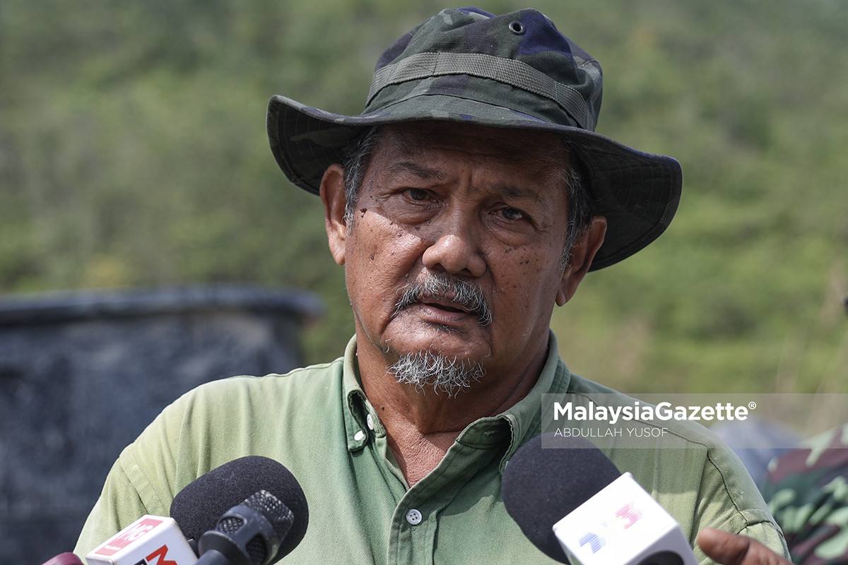 gajah liar di Chemor gajah liar Bukit Bangkong, gajah ceroboh kebun di Chemor, gangguan gajah liar di Perak, kebun buah dirosakkan gajah . gajah liar ceroboh kebun buah gajah liar Bukit Bangkong Chemor pekebun Chemor alami kerugian 12 lot kebun terjejas akibat gajah PERHILITAN Perak kawal gajah liar