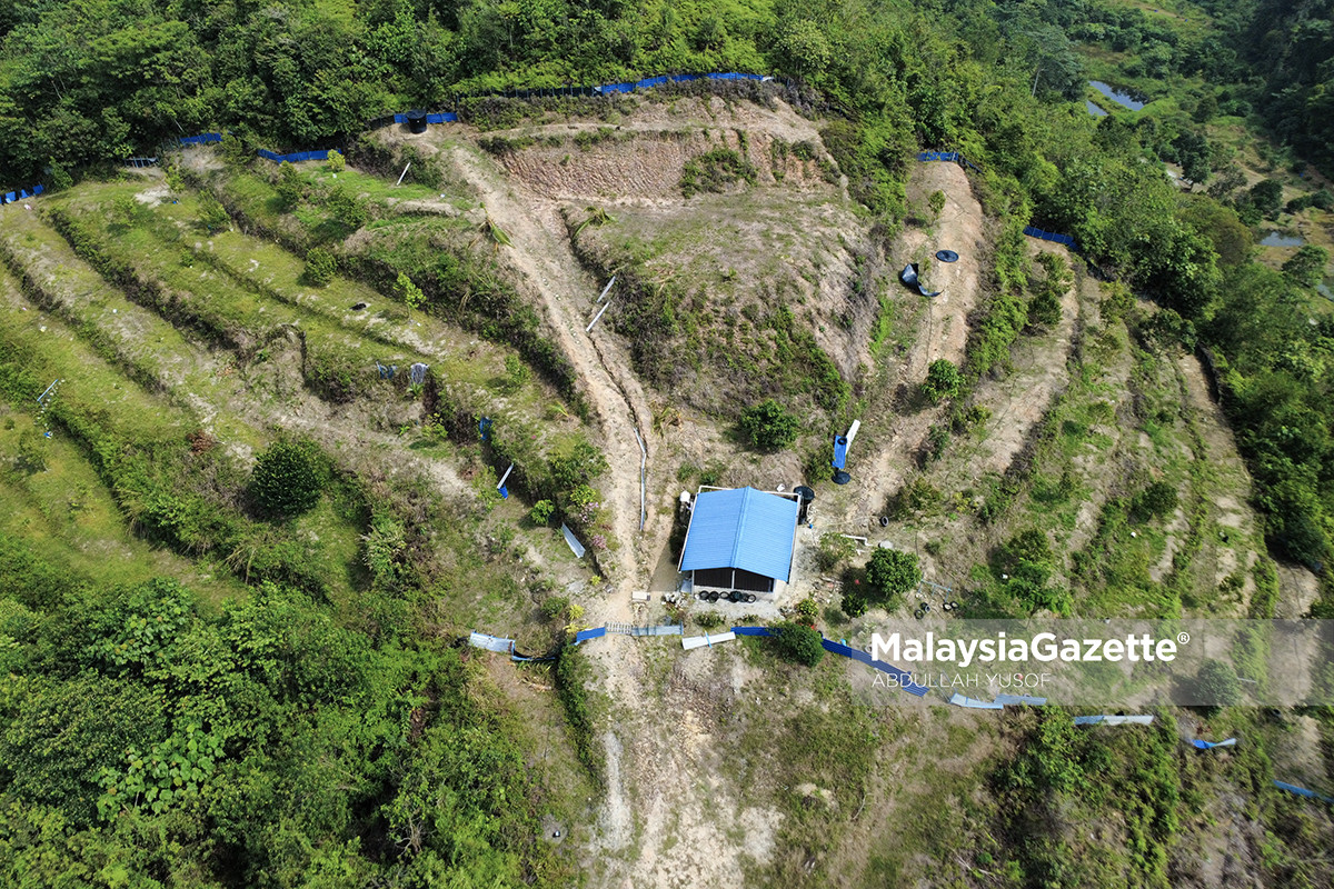 gajah liar di Chemor gajah liar Bukit Bangkong, gajah ceroboh kebun di Chemor, gangguan gajah liar di Perak, kebun buah dirosakkan gajah . gajah liar ceroboh kebun buah gajah liar Bukit Bangkong Chemor pekebun Chemor alami kerugian 12 lot kebun terjejas akibat gajah PERHILITAN Perak kawal gajah liar