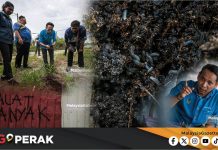 MGPerak: Perak Siasat Dakwaan Penggunaan Baja Mentah Punca Gangguan Lalat