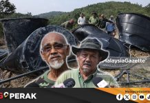 MGPerak: Pekebun Di Chemor Resah, Gajah Liar Ceroboh Kebun Tiga Kali
